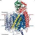 Membrane Protein Structural Biology Group – Soulimane (UL)